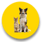 Mascotas