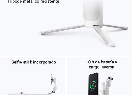 Insta360 Estabilizador con Rastreador IA Gris, Flow 2