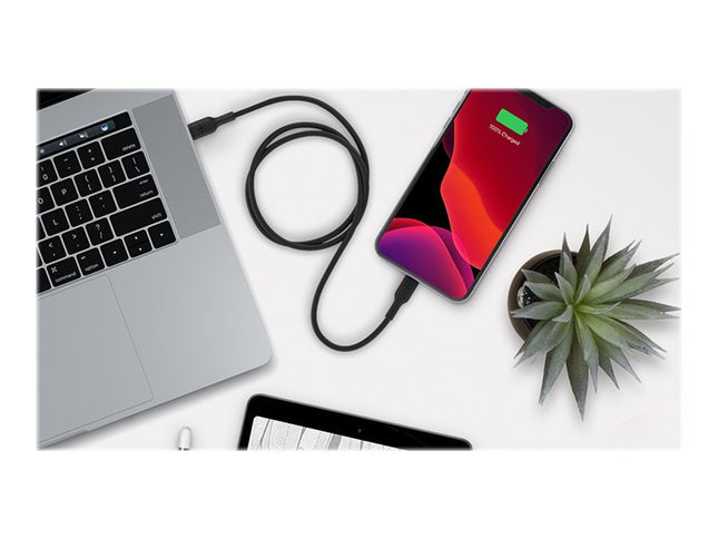 Belkin BoostCharge - Cable Lightning - 24 pin USB-C macho a Lightning macho - 1 m - negro - suministro de potencia USB (18W)