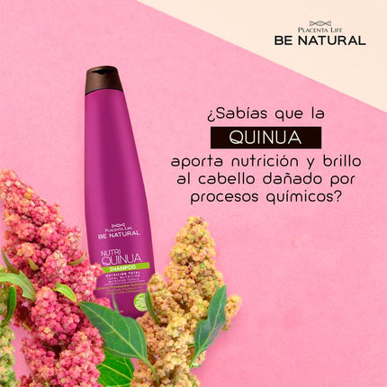Shampoo Nutritivo Quinua Placent Life | 350ml | Fortalecimiento y suavidad para cabello seco o débil
