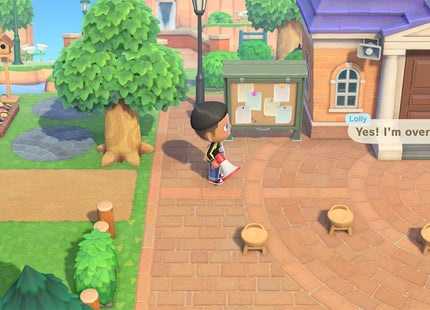 Nintendo Animal Crossing New Horizons Switch 2, NXS-P-ACBAD