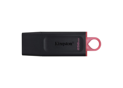 Memoria USB Kingston Exodia | 256GB | USB 3.2 Gen 1 | Black/Pink | DTX/256GB