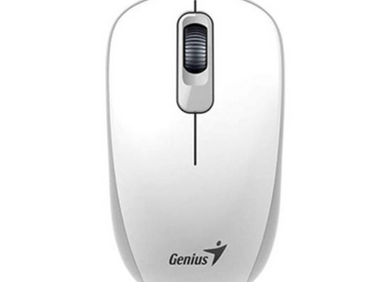 Mouse Genius RS2 DX-110 alámbrico con cable USB vista frontal