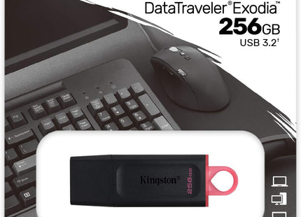 Memoria USB Kingston Exodia | 256GB | USB 3.2 Gen 1 | Black/Pink | DTX/256GB