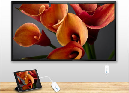 EZCast Kit Inalámbrico USB-C a HDMI, EZCASTPOCKET C-1+R-1