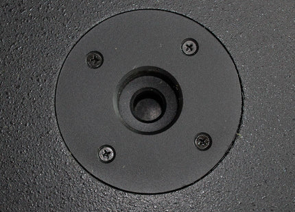 SKP QW18S subwoofer profesional de madera - vista general