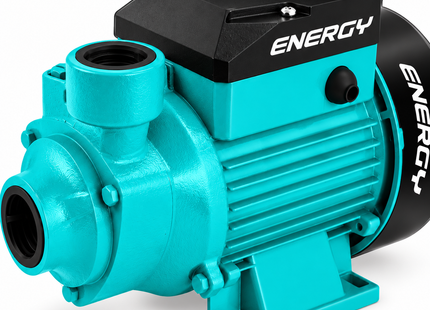 Energy Bomba de Agua 120V 60Hz, P12/1 BV