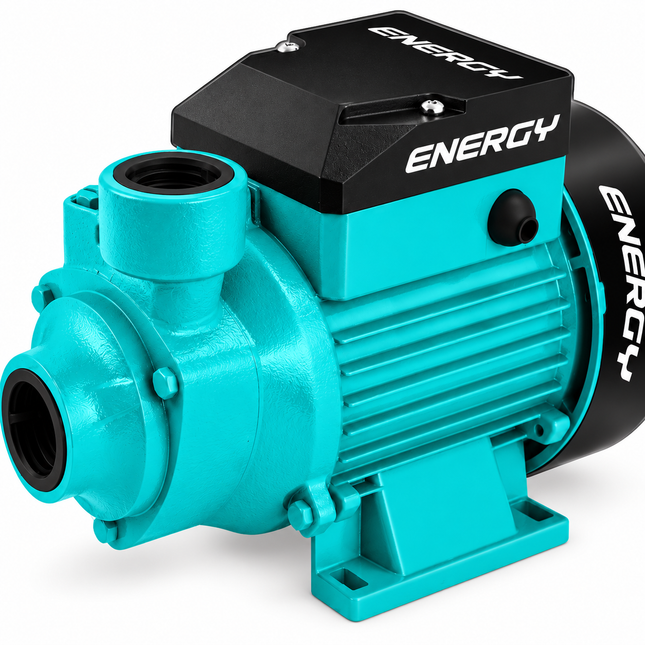 Energy Bomba de Agua 120V 60Hz, P12/1 BV