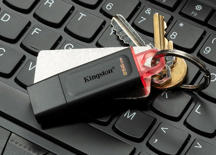 Memoria USB Kingston Exodia | 256GB | USB 3.2 Gen 1 | Black/Pink | DTX/256GB