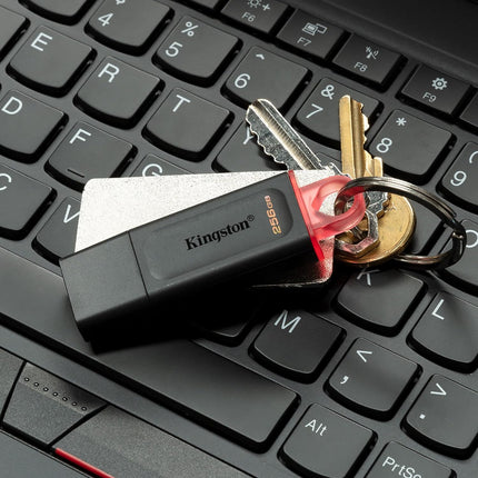 Memoria USB Kingston Exodia | 256GB | USB 3.2 Gen 1 | Black/Pink | DTX/256GB