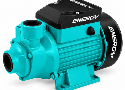 Energy Bomba de Agua 120V 60Hz, P12/1 BV