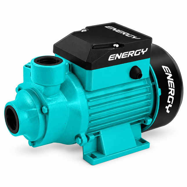 Energy Bomba de Agua 120V 60Hz, P12/1 BV