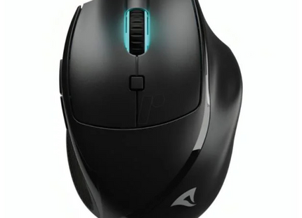 Mouse inalámbrico Sharkoon OfficePal M25W negro vista frontal con receptor USB