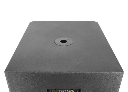 SKP DX18S subwoofer activo 18 pulgadas - vista posterior