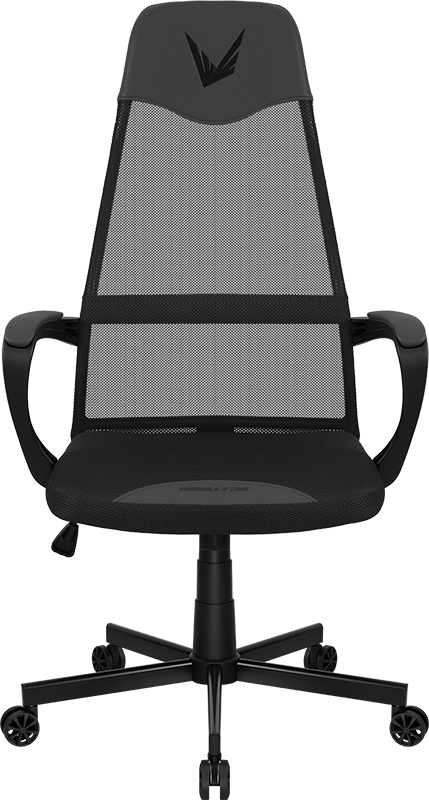 Formula V Line Silla Ergonómica Gris Oscuro, Ergolux 1