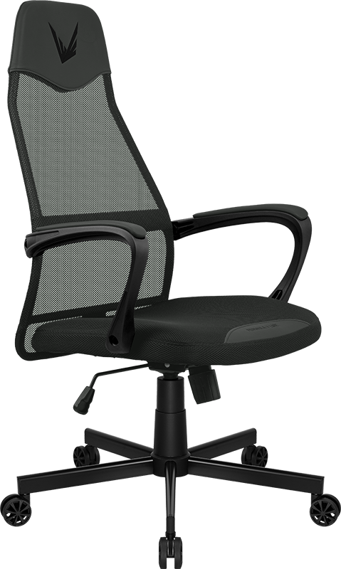 Formula V Line Silla Ergonómica Gris Oscuro, Ergolux 1