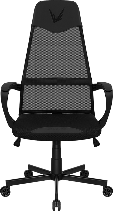 Formula V Line Silla Ergonómica, Ergolux 1
