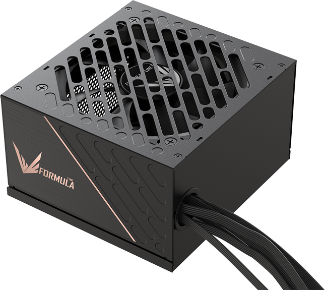 Fuente de poder FV-650BD negra, ángulo adicional del producto