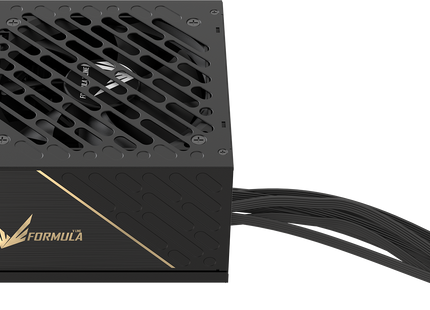 Fuente de poder FV-1000GD negra, detalle de cables trenzados directos