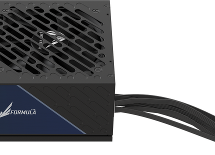 Fuente de poder FV-650LT negra, detalle de conectores de cable directo