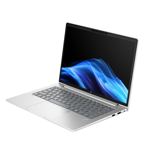 HP ProBook 4 G1a 14" Ryzen 7 250 16GB DDR5 1TB SSD Windows 11 Pro D66VQLT