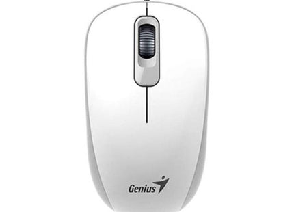 Mouse Genius RS2 DX-110 conexión USB cable detalle