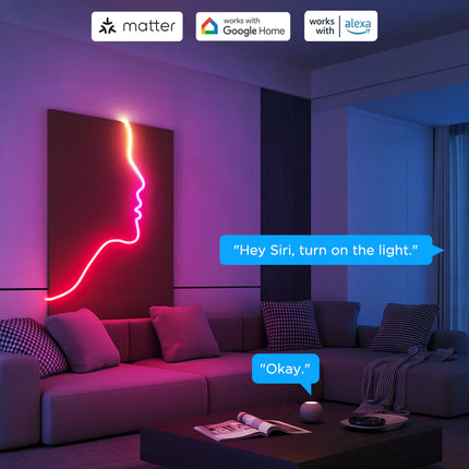 Luces Govee H61D4 Neon Rope Light 2S | 4 Metros | RGBIC | Wi-Fi + Bluetooth | Flexible | Negro