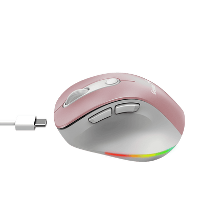 Mouse Genius RS2 Ergo 9000S Pro | Inalámbrico | Receptor USB | Ergonómico