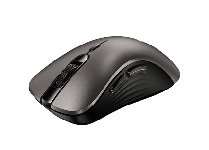 Mouse Genius Ergo 8100S champagne vista superior con 6 botones silenciosos