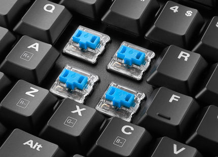 Teclado Gaming Sharkoon PureWriter TKL | Mecánico | RGB | USB | Switch Azul | Inglés