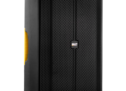 SKP Q10 MK2 parlante profesional activo - panel de controles