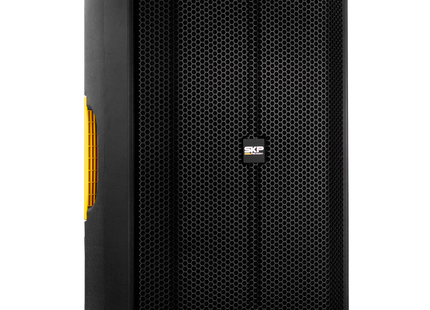 SKP Q12 MK2 parlante profesional activo - panel de controles