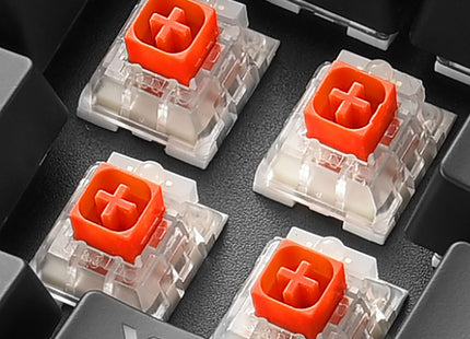 Vista trasera del Sharkoon SGK60 mostrando conectores y base antideslizante del teclado