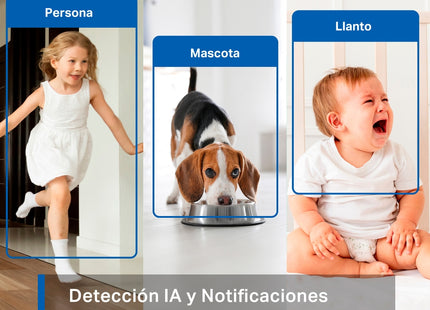 Cámara de Vigilancia TP-Link, Tapo C220
