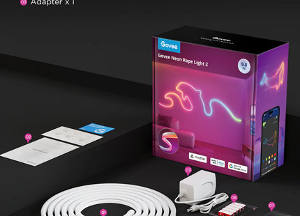 Govee Neon Rope Light 2, H61D3101